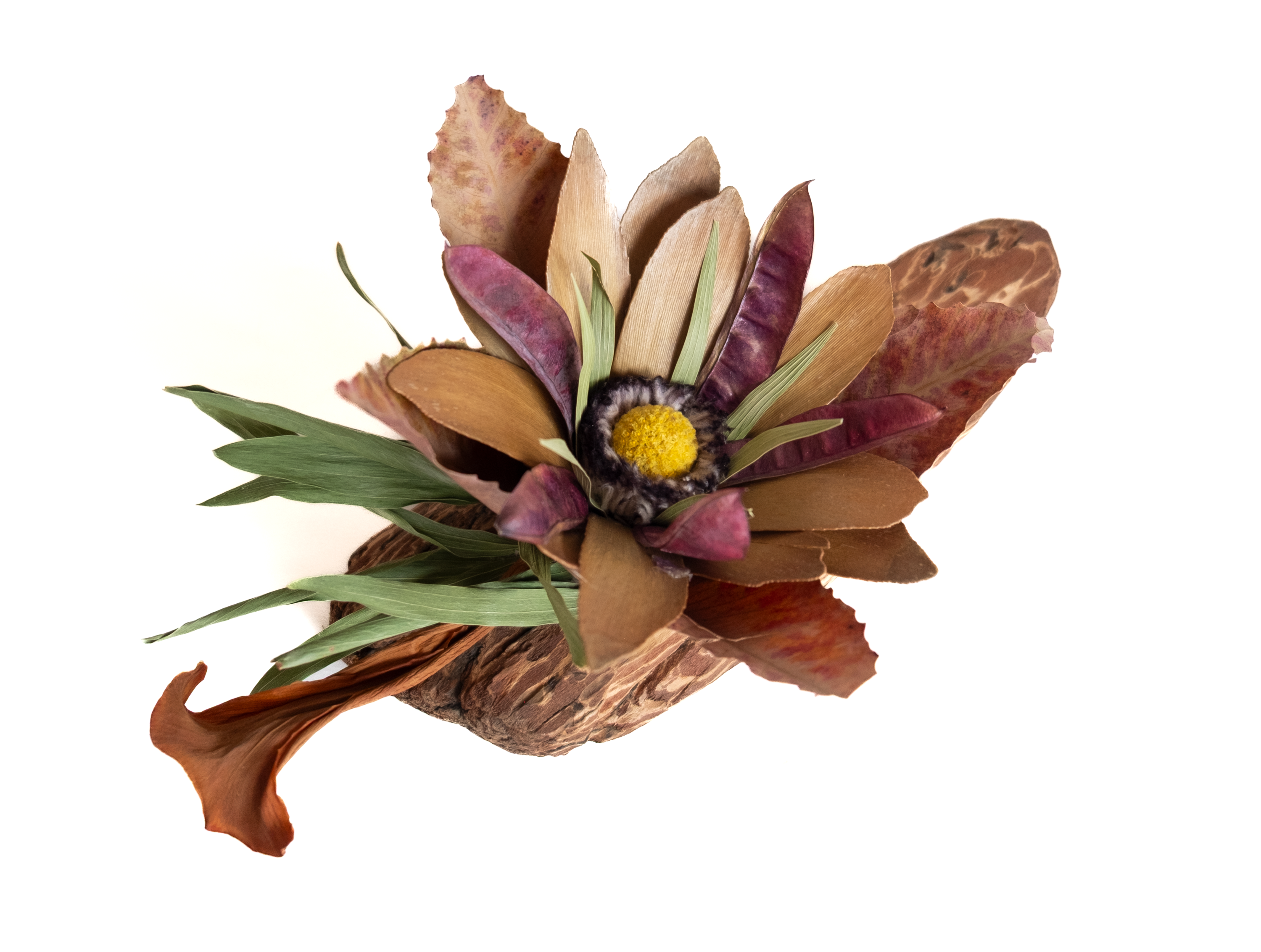 Botanical arrangement